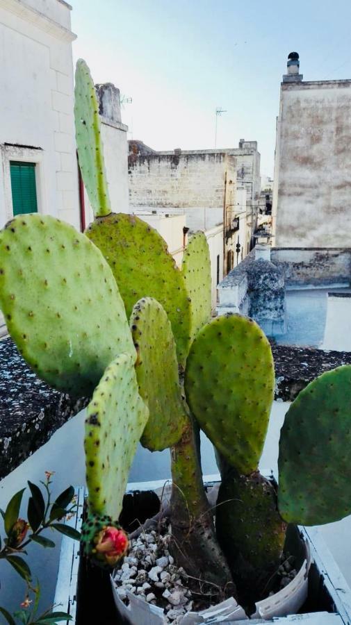 לינה וארוחת בוקר פוג'ארדו Il Borgo מראה חיצוני תמונה